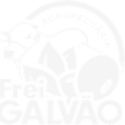 Frei Galvão
